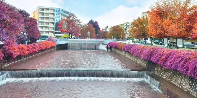 The Mindspark Trikala 2020